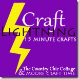 craft lightning 150