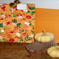 bag5picfeat