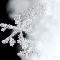AMagillflickrsnowflakefeat