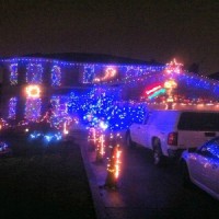 christmasbus 006picfeat