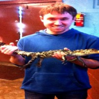 alligatorfeat