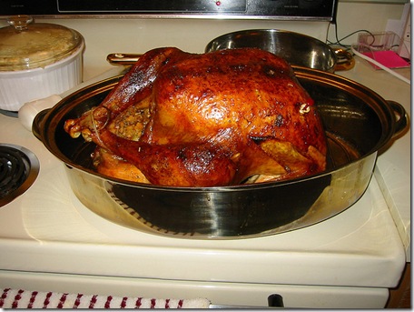 turkeyjdolenga