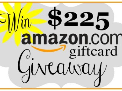 WIN: $225 Amazon gift card blog giveaway CreativeCynchronicity.com
