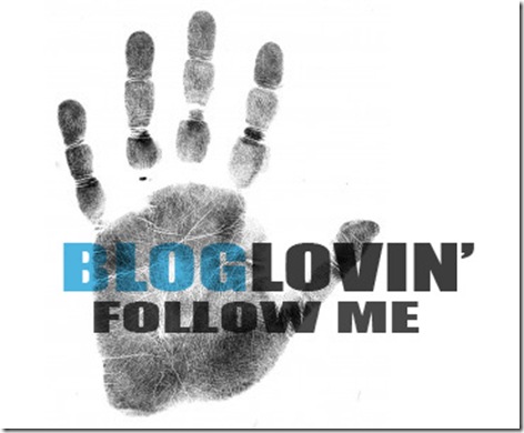 bloglovinlogo