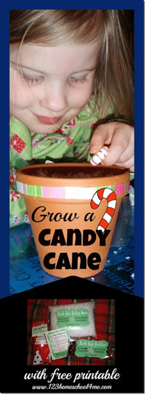 grow a candy cane