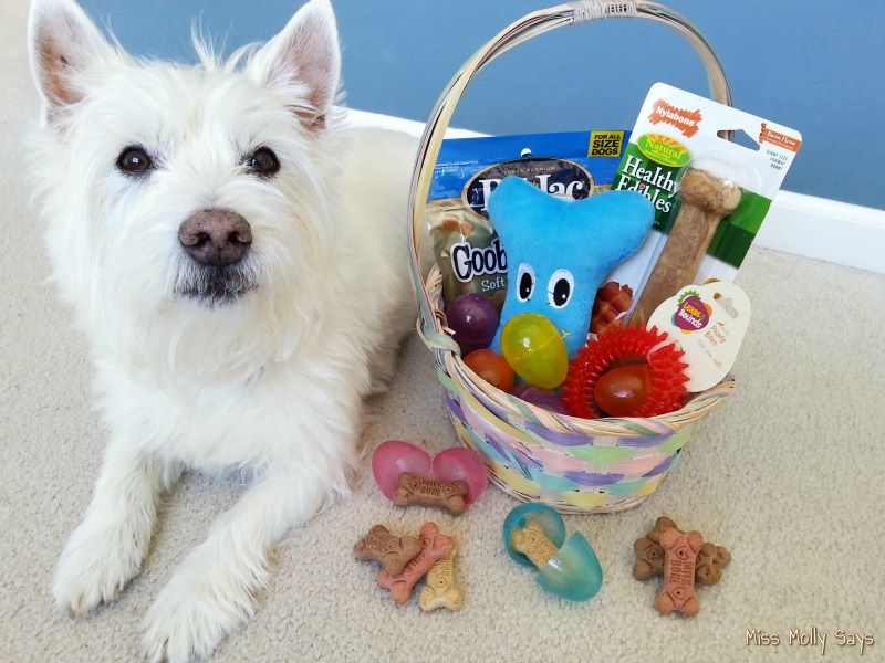 make an easter basket for your pup