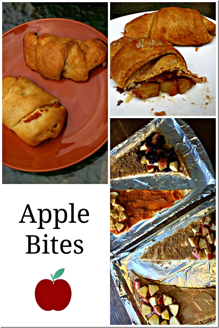 Apple Bites - a delicious recipe filled with the flavor of fall
