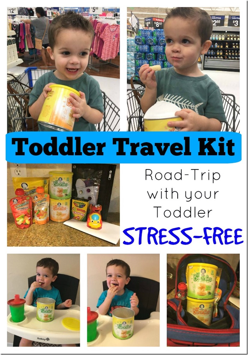 Toddler Travel Kit - Road Trip with Your Toddler Stress Free 