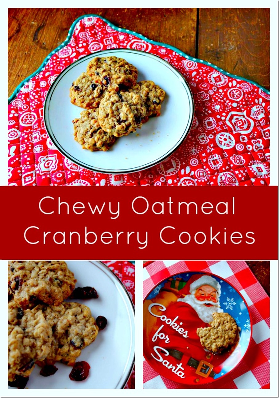 Chewy Oatmeal Cranberry Cookies Recipe With Variations