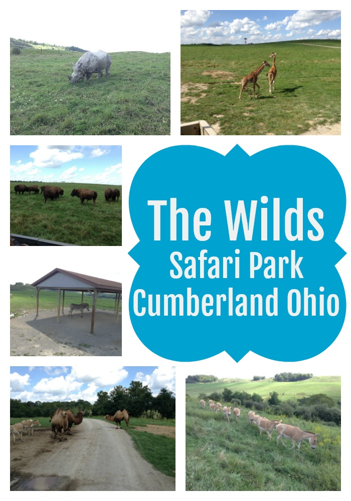 the wilds safari park cumberland ohio