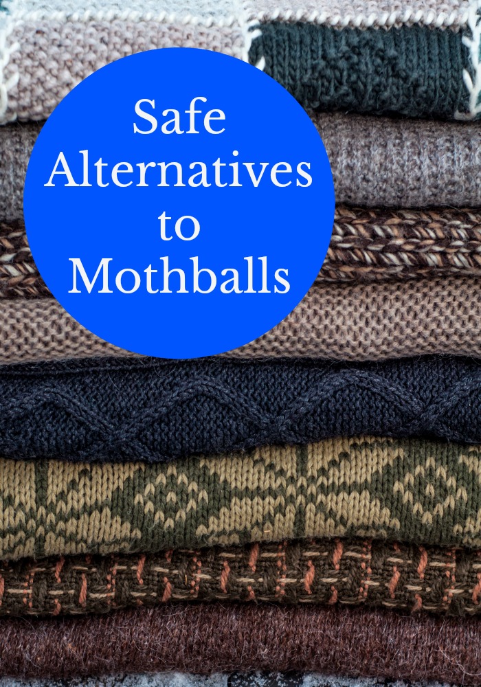 Natural Mothball Alternatives for Storage