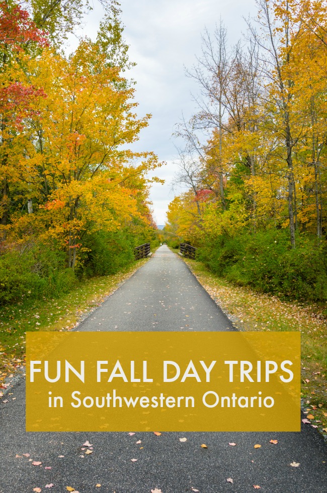 Fun Fall Day Trips to Take This Year in Southwestern Ontario Creative