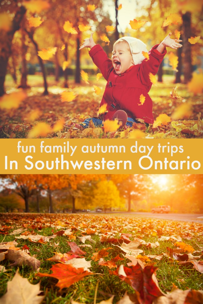 fun family autumn day trips southwestern ontario