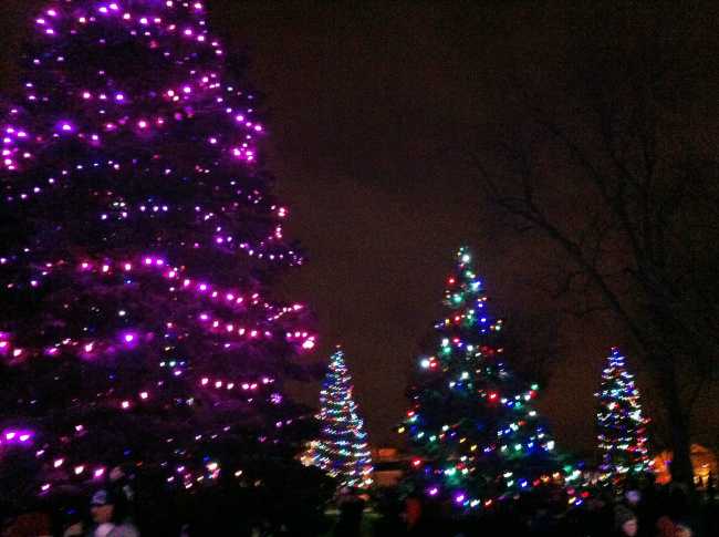 Garvan Gardens holiday lights