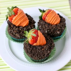 carrot patch cupcakes IG