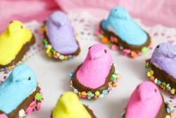 fun chocolate dipped peeps for spring